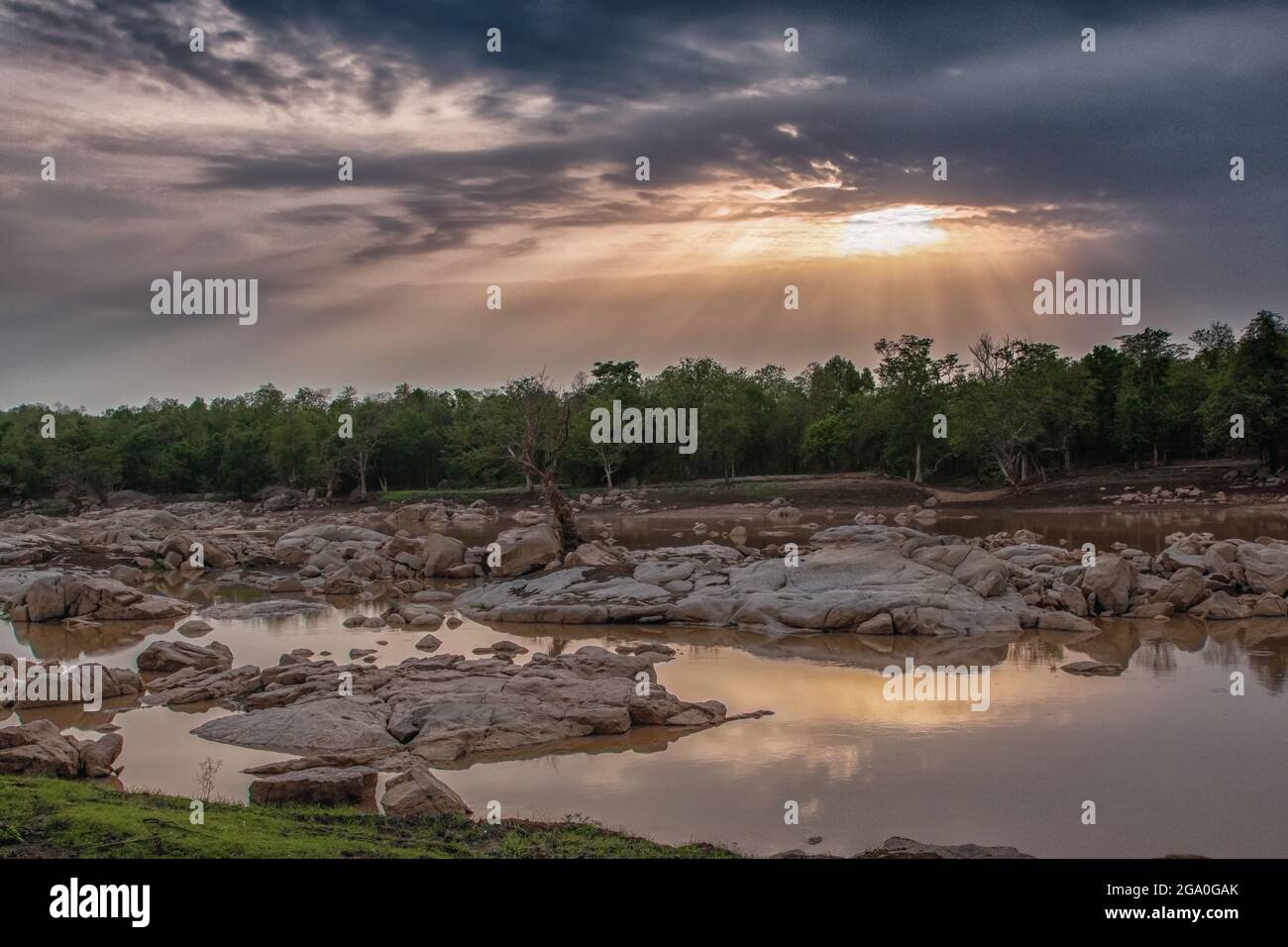 Charmant paysage de la jungle des tranchées pendant la saison de la mousson Banque D'Images