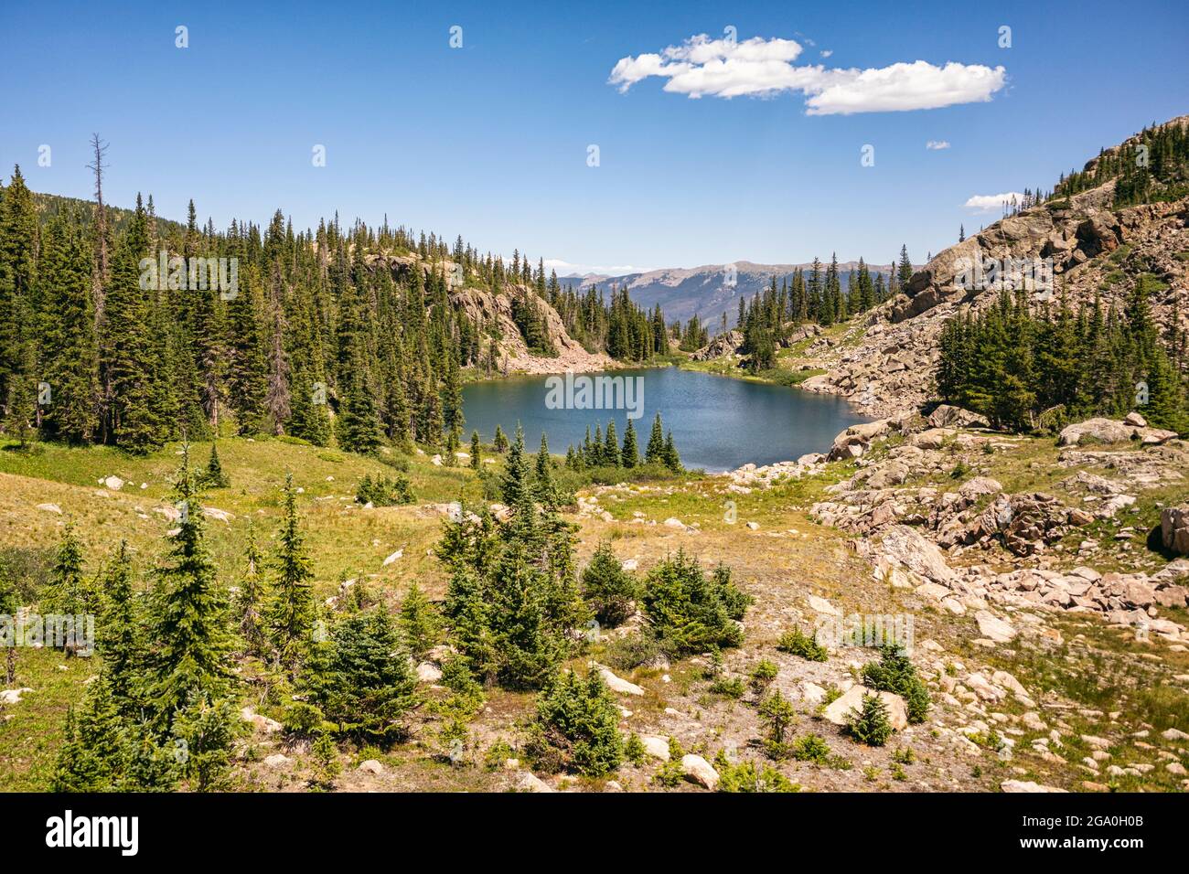 Photos de paysage prises lors d'une randonnée dans la région sauvage d'Eagles Nest, Colorado Banque D'Images