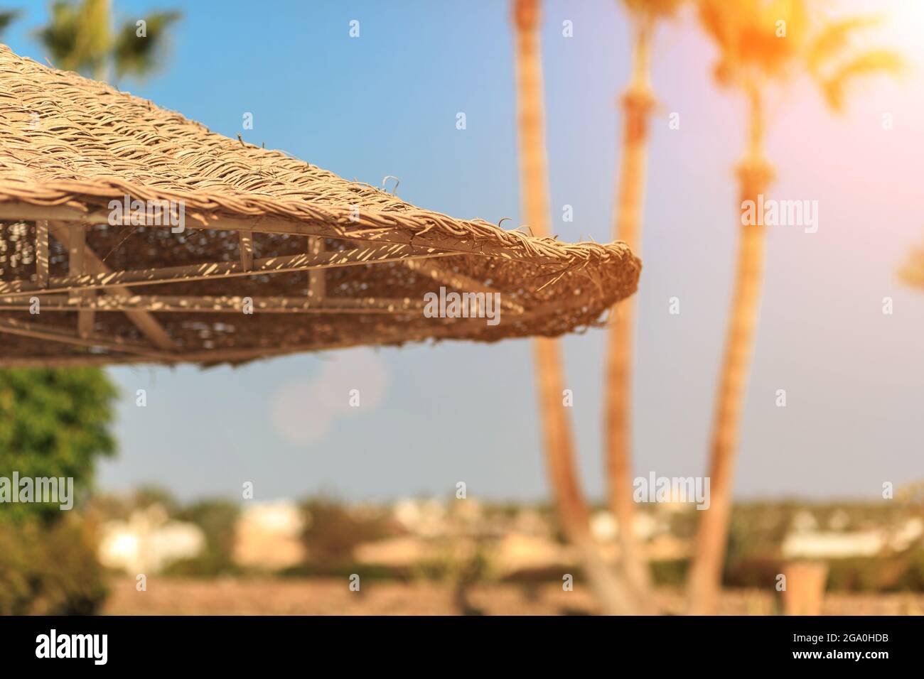 Parasols en paille contre le ciel bleu avec vue sur l'hôtel et palmiers en Egypte Banque D'Images