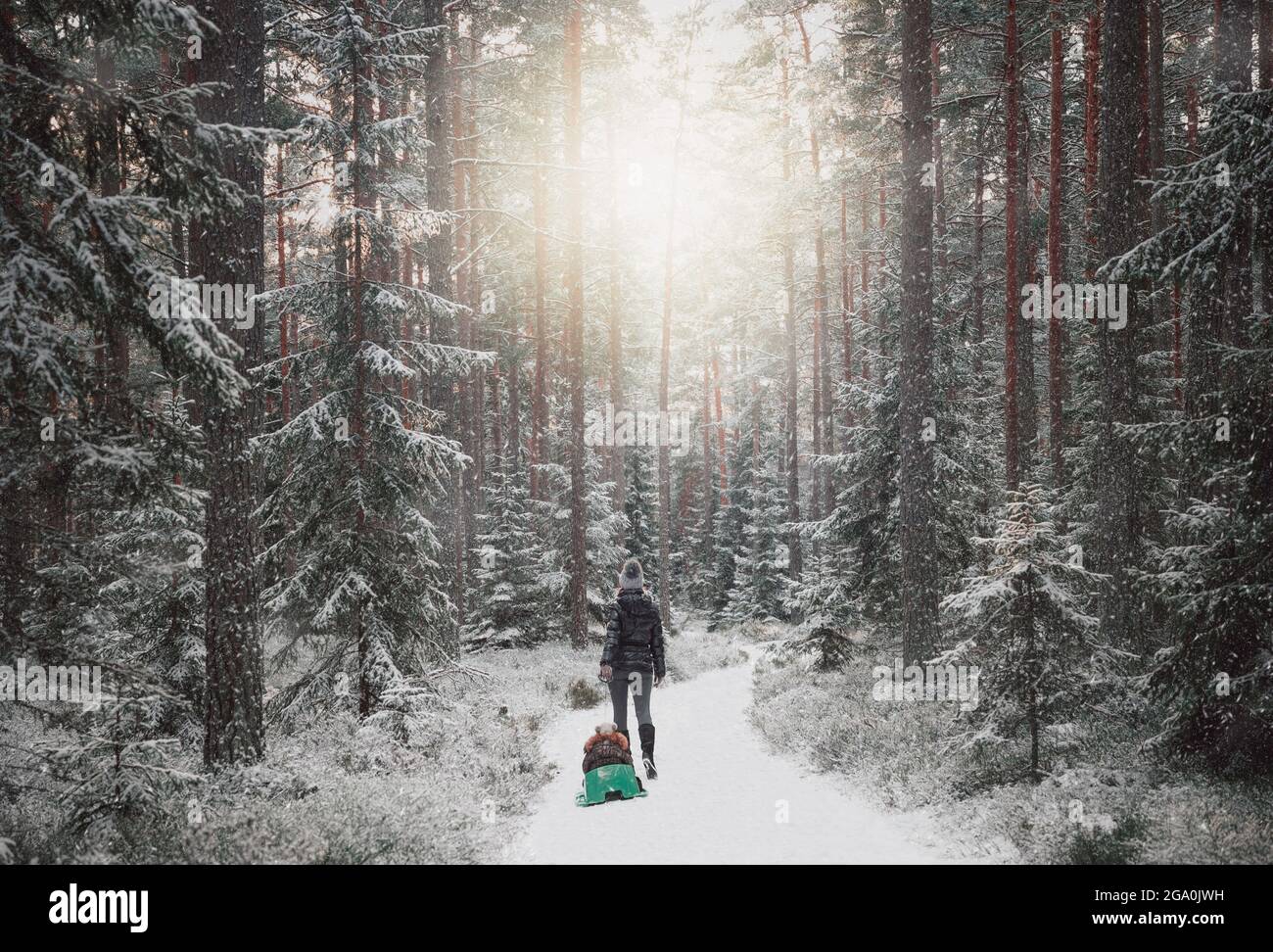 La mère et l'enfant marchent dans la nature hivernale. Banque D'Images