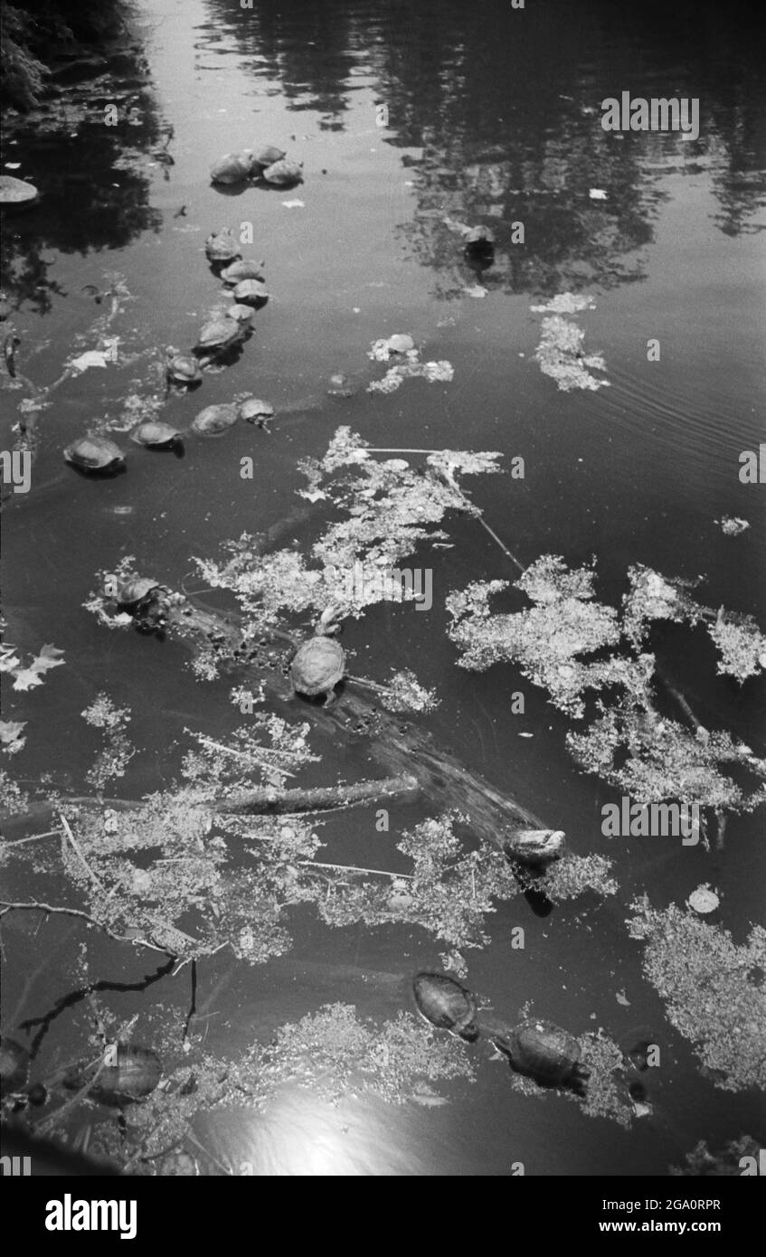 New York City sur le film B&W 35mm Banque D'Images