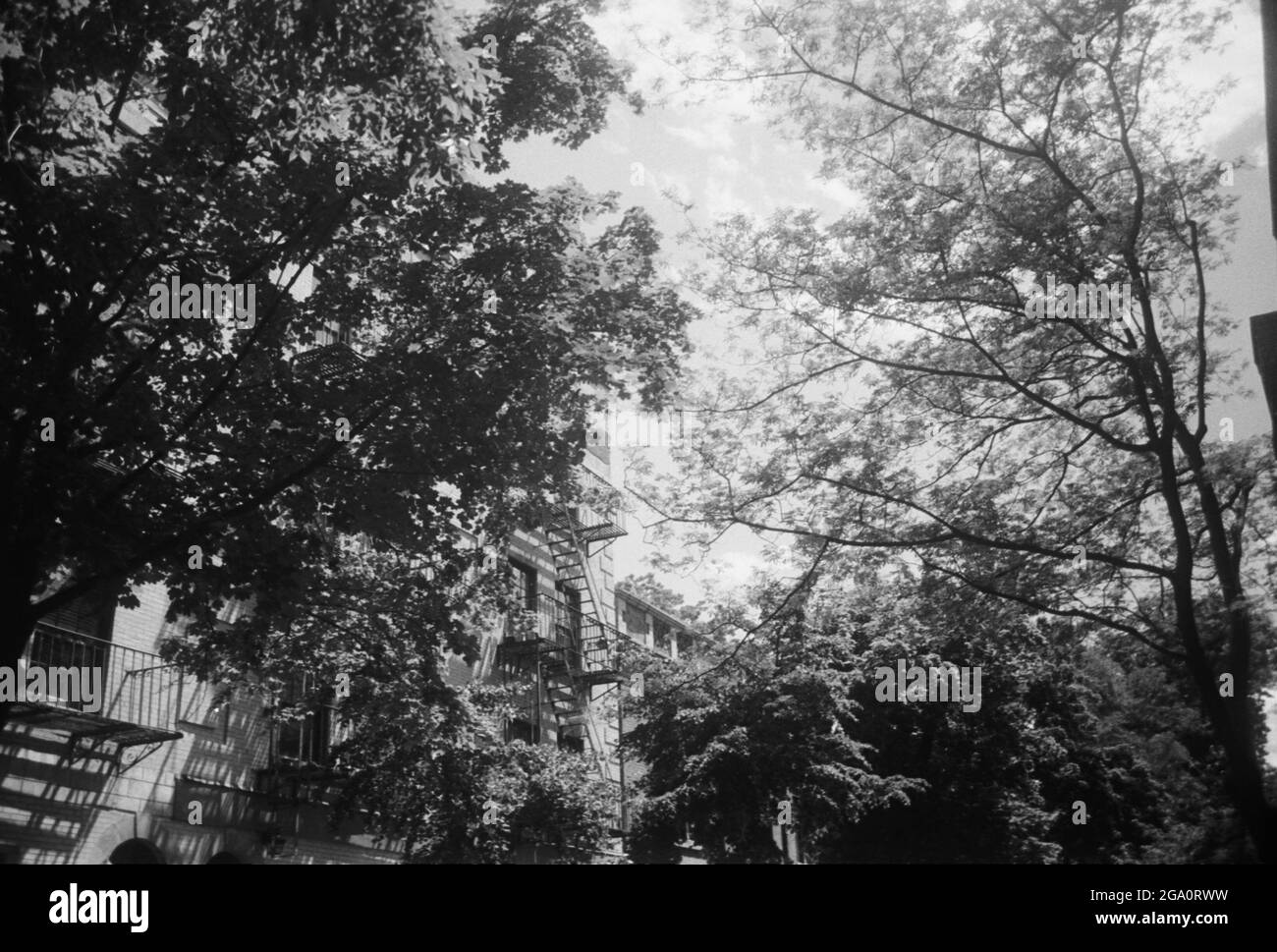 New York City sur le film B&W 35mm Banque D'Images