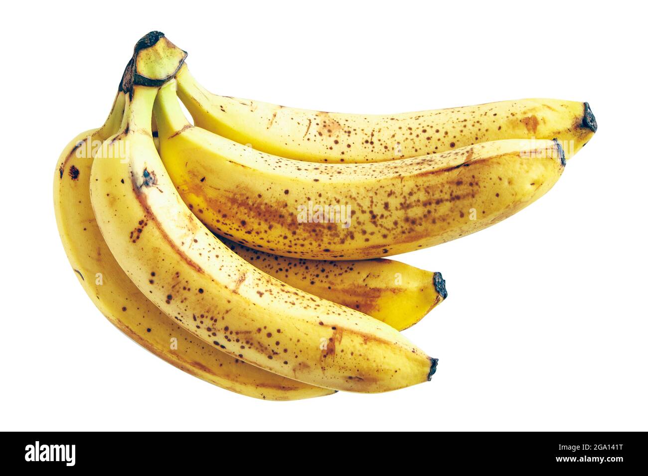 Un bouquet de cinq bananes légèrement trop mûres isolées sur fond blanc, avec un chemin de coupure Banque D'Images