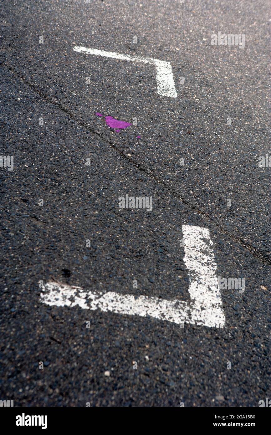 Signes et symboles sur l'asphalte. Plaque rose sur béton. Flèches blanches peintes sur la route. Banque D'Images