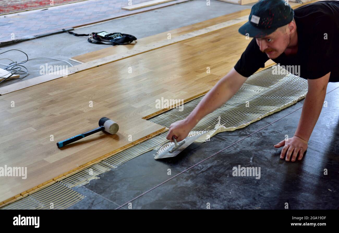 Workman étalant l'adhésif lors de l'installation d'une languette en bois laminé et d'un revêtement de sol rainuré Banque D'Images