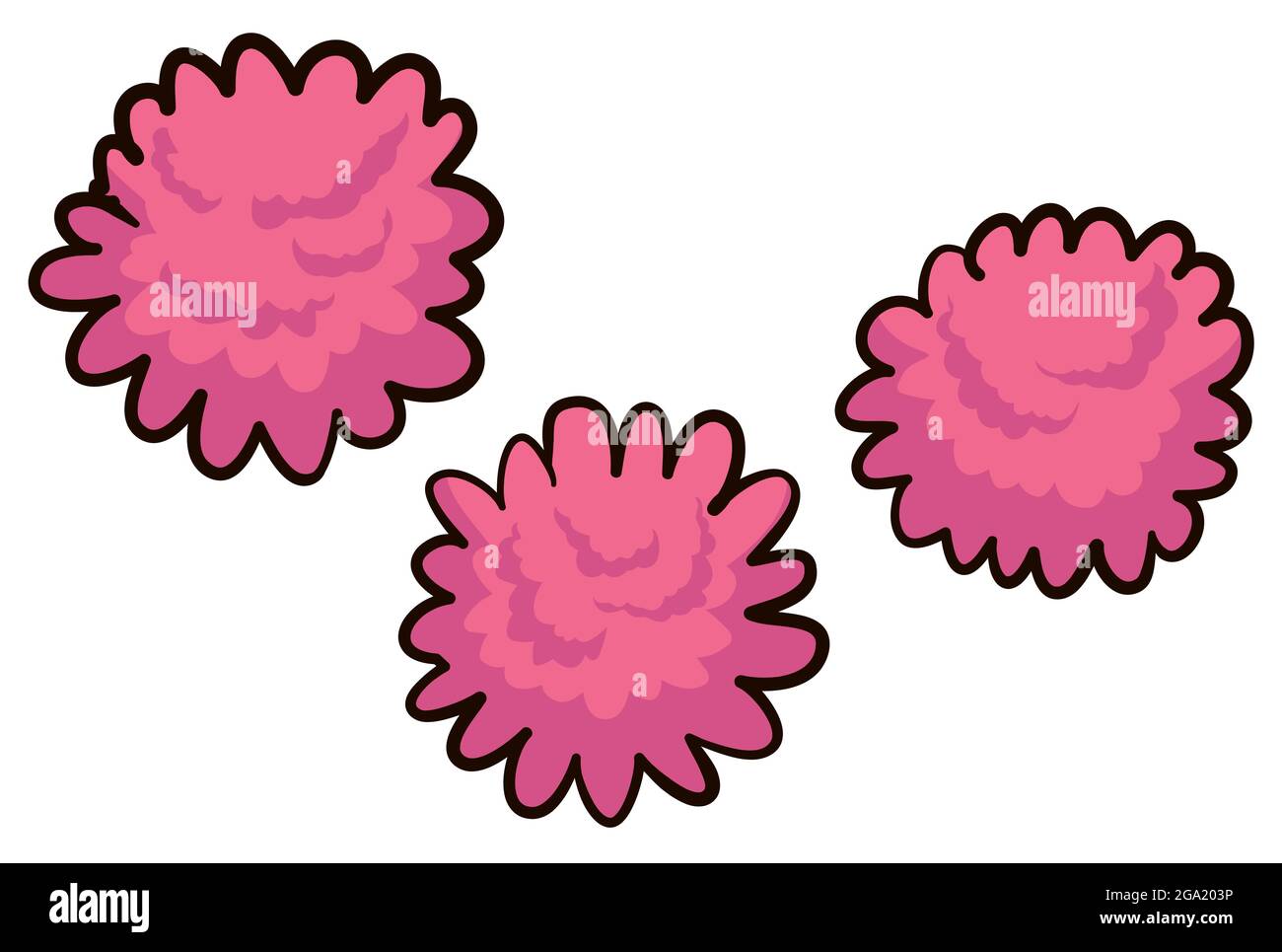 Ensemble de trois dahlias de pompon rose de style dessin animé, isolé sur fond blanc. Illustration de Vecteur