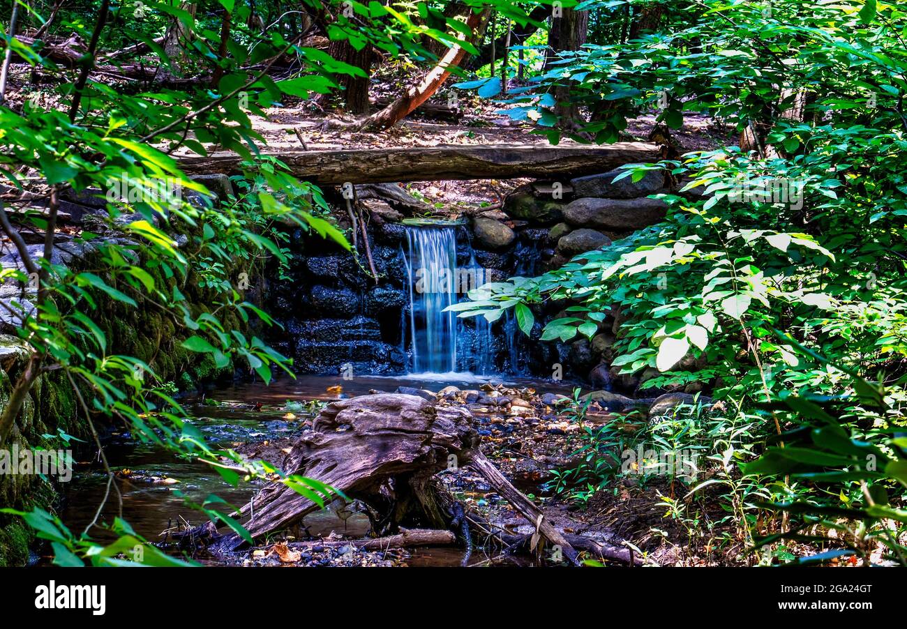 Dans le dell par les eaux en cascade Banque D'Images