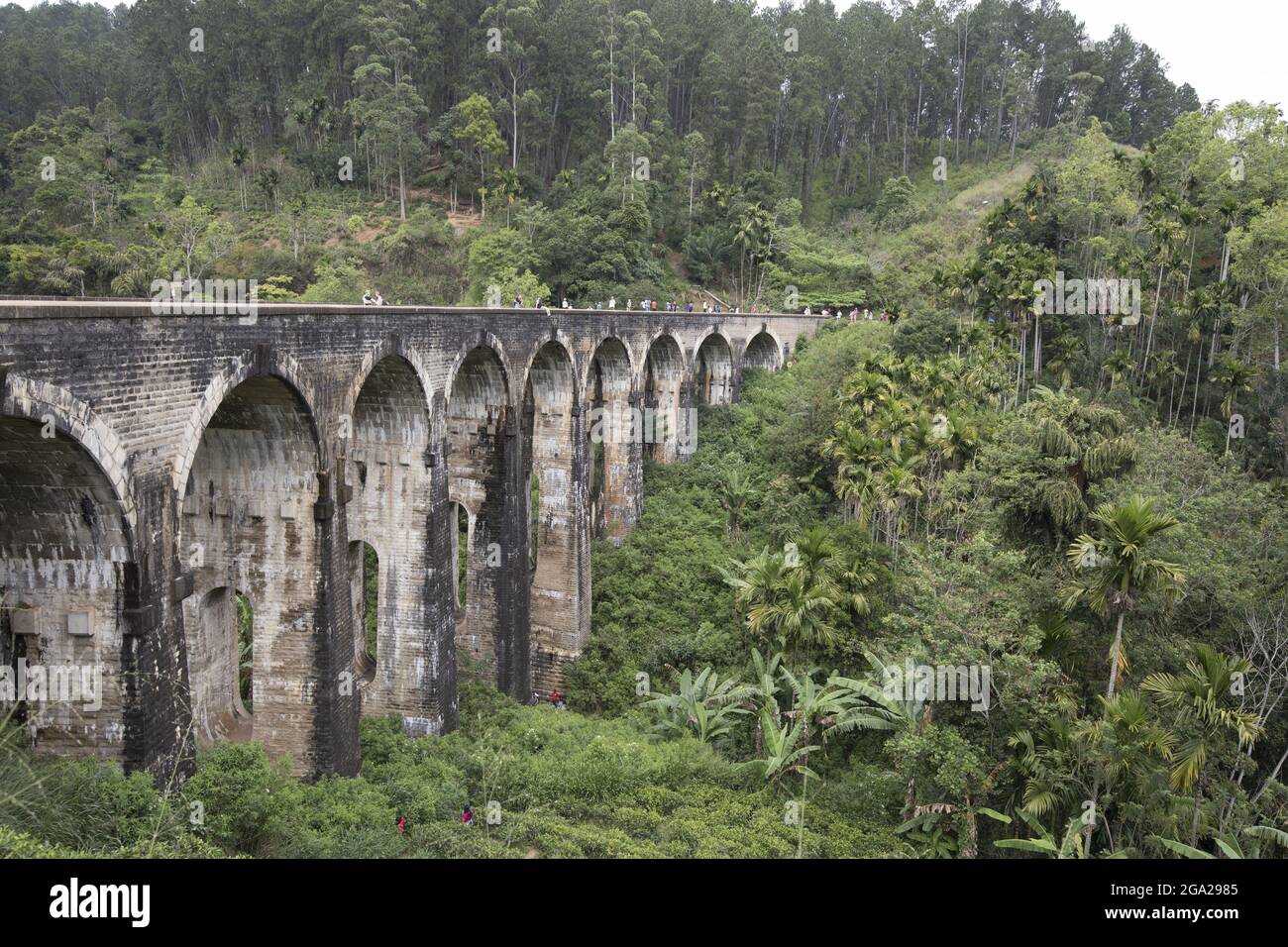 Pont de Nine Arch entre Ella et Demodra, Hill Country, Sri Lanka ; Ella, Badulla District,Sri Lanka Banque D'Images