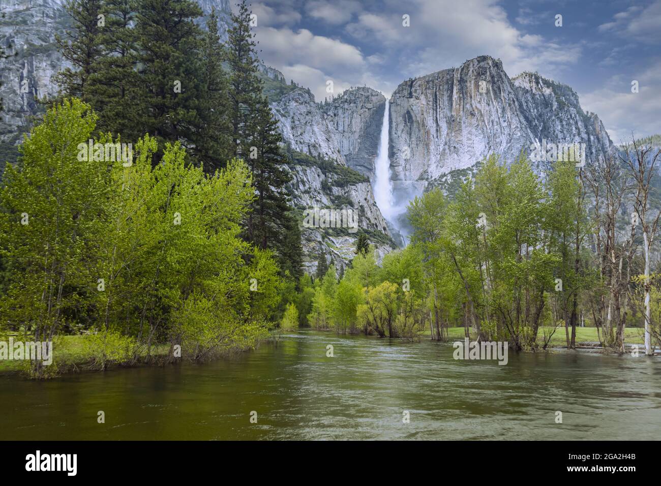 Yosemite Falls dans le parc national de Yosemite ; Californie, États-Unis d'Amérique Banque D'Images