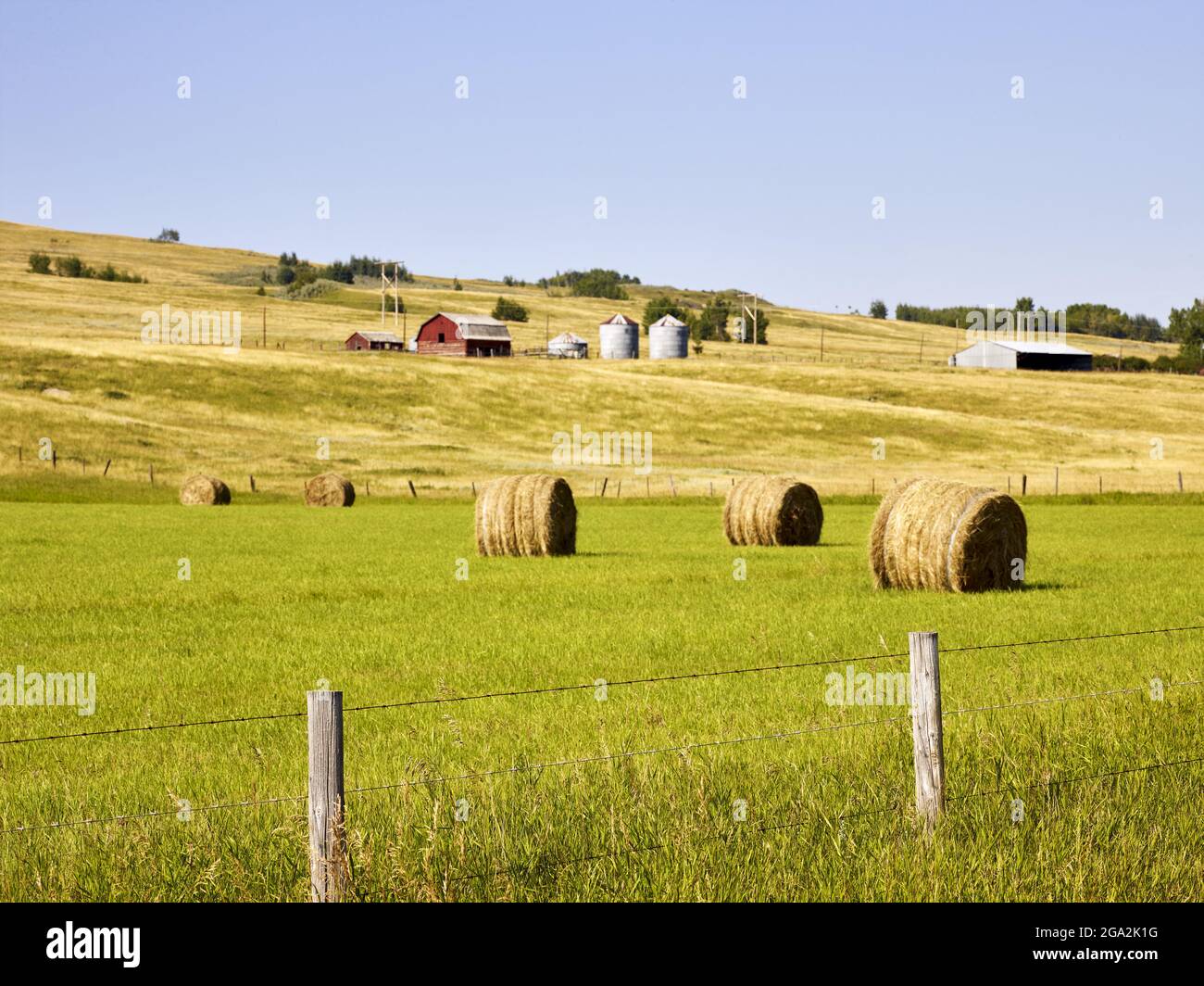 Terres agricoles avec des granges et des silos à grains à flanc de coteau avec des balles de foin roulées dans un champ en dessous avec une clôture de poteau et de fil; Alberta, Canada Banque D'Images