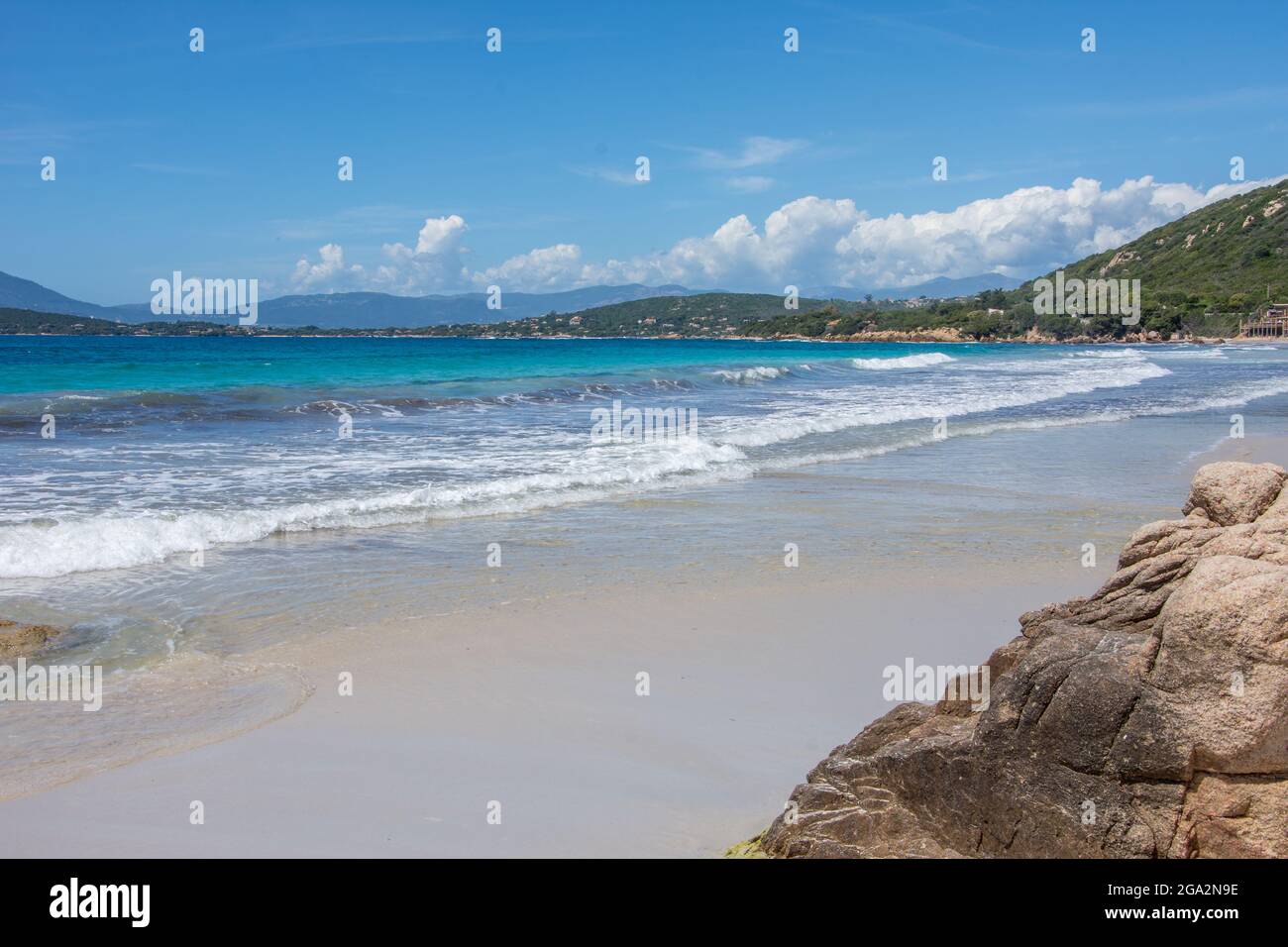 Découverte de l'île de beauté en Corse-du-Sud en mai, France Banque D'Images