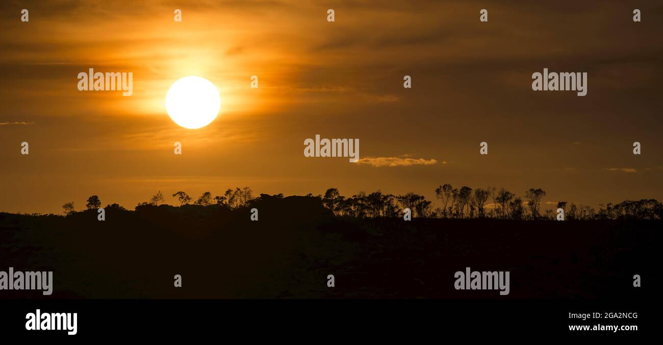 Lever de soleil doré au-dessus de l'Australie occidentale au-dessus de l'horizon des arbres silhouettés sur la rivière King George dans les Kimberley ; Australie occidentale, Australie Banque D'Images