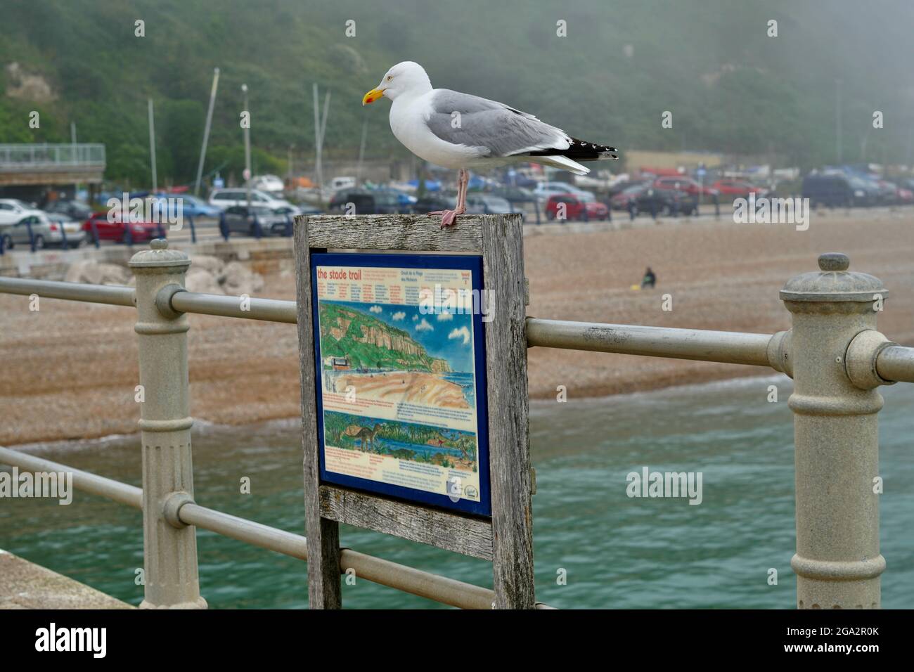 Un paysage de front de mer brumeux et brumeux au stade de Hastings, dans l'est du Sussex, en Angleterre un mouette se trouve au-dessus de la carte touristique de la région Banque D'Images