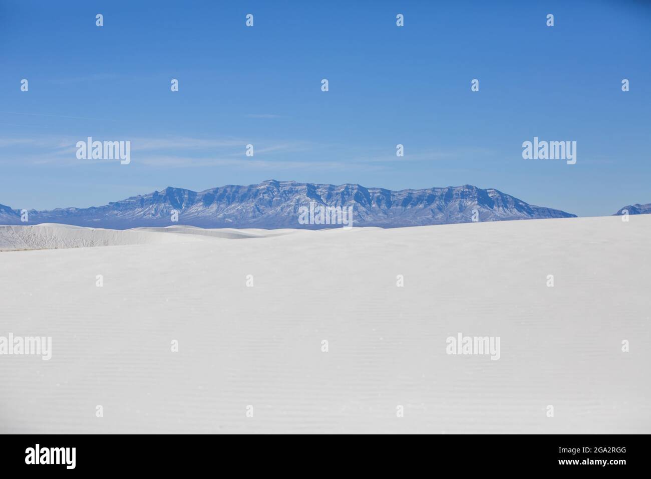 Les belles dunes de sable blanc de White Sands National Park, Nouveau-Mexique; Nouveau-Mexique, États-Unis d'Amérique Banque D'Images