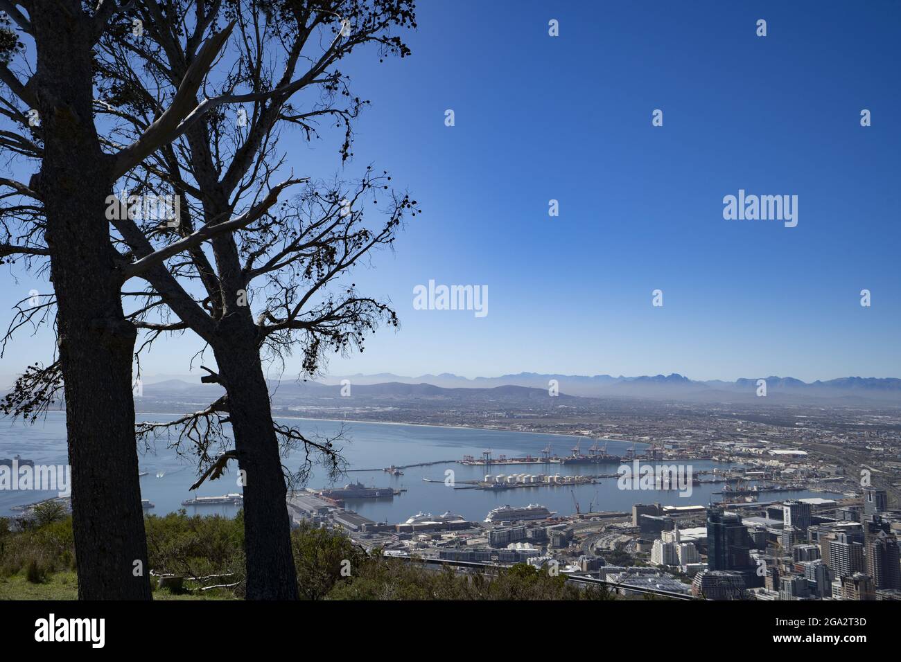 Vue depuis signal Hill Park surplombant le port du Cap avec son front de mer animé et ses quais commerciaux ; le Cap, la province du Cap, l'Afrique du Sud Banque D'Images