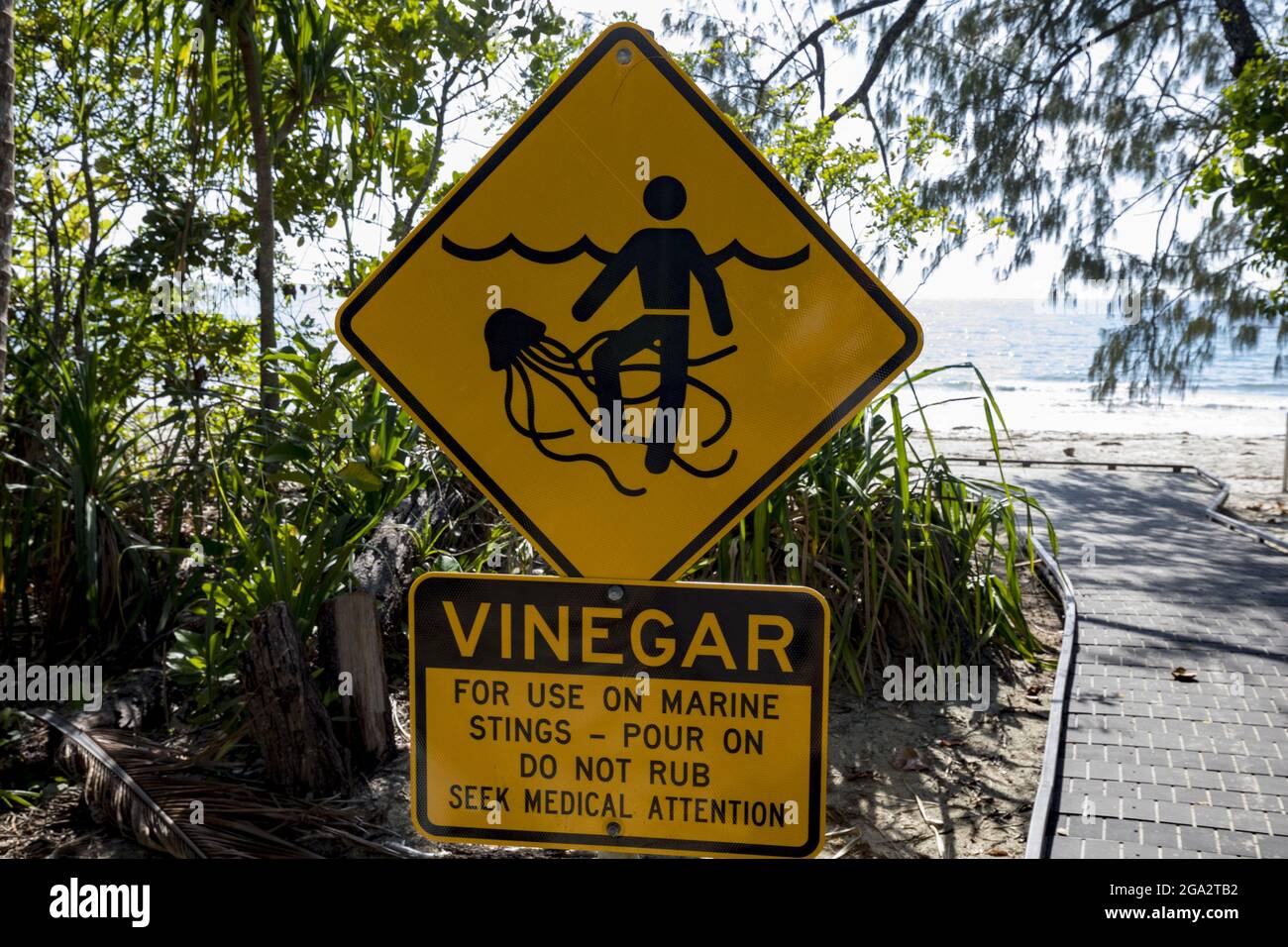 Panneau d'avertissement pour méduses sur la côte de la mer de Corail de la forêt tropicale de Daintree, Queensland, Kuku Yalani est, Australie Banque D'Images