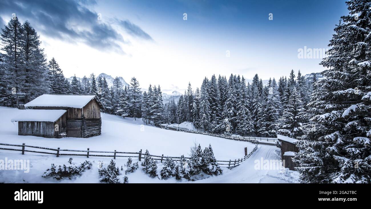 Scène d'hiver vue sur une route de campagne dans une cabane en rondins entourée de pins enneigés à Val Badia au pied des Dolomites dans l'Alto... Banque D'Images