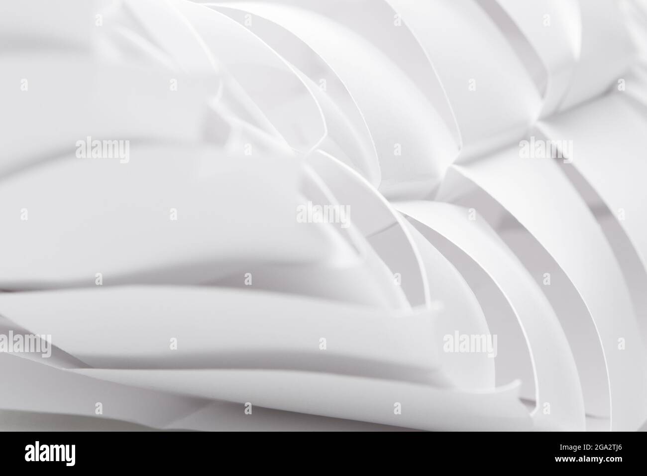 Modèle d'insecte de papier blanc, avec segments, courbes et lignes parallèles. Beauté dans la nature, savoir-faire. Banque D'Images