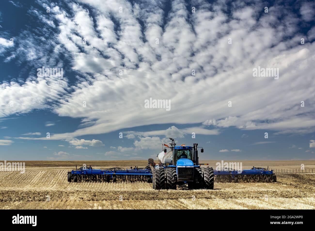 Un semoir pneumatique dans un champ semé, avec des nuages spectaculaires dans un ciel bleu; Beisker, Alberta, Canada Banque D'Images Un semoir pneumatique dans un champ semé, avec des nuages spectaculaires dans un ciel bleu; Beisker, Alberta, Canada Banque D'Images