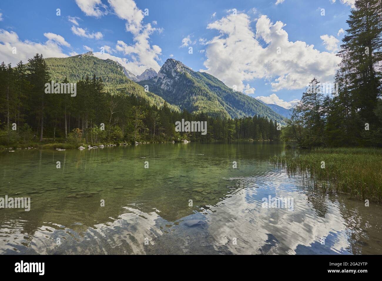 Les eaux cristallines du lac Hintersee avec des reflets des nuages et des Alpes bavaroises; Berchtesgadener Land, Ramsau, Bavière, Allemagne Banque D'Images
