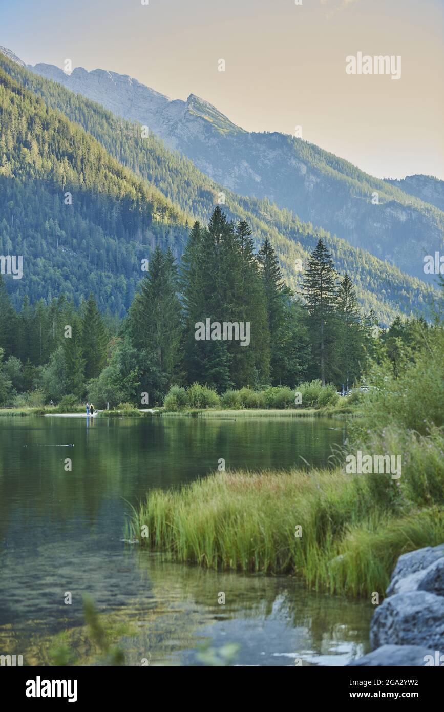 Côte herbeuse entourant le lac Hintersee dans les Alpes bavaroises ; Berchtesgadener Land, Ramsau, Bavière, Allemagne Banque D'Images