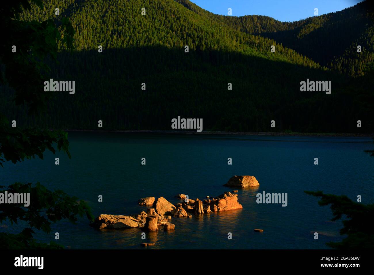 Une image extérieure d'une forêt et d'un lac du Nord-Ouest du Pacifique Banque D'Images