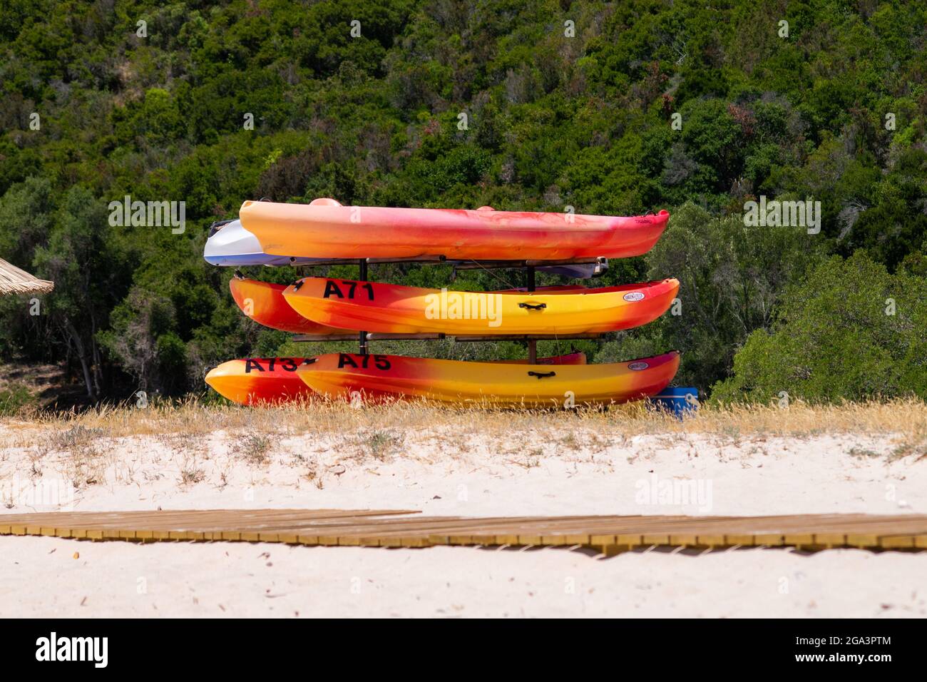 Kayaks en plastique Oceano à des fins de location, sports nautiques et tourisme Banque D'Images
