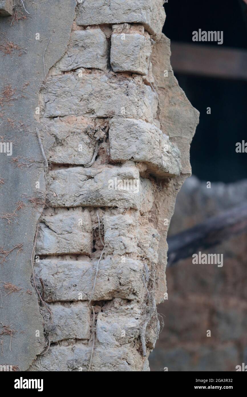 Vestiges en ruines - murs de terre remisée et plâtre - d'une maison de village abandonnée près de Sheung Shui, Hong Kong 8 mai 2021 Banque D'Images