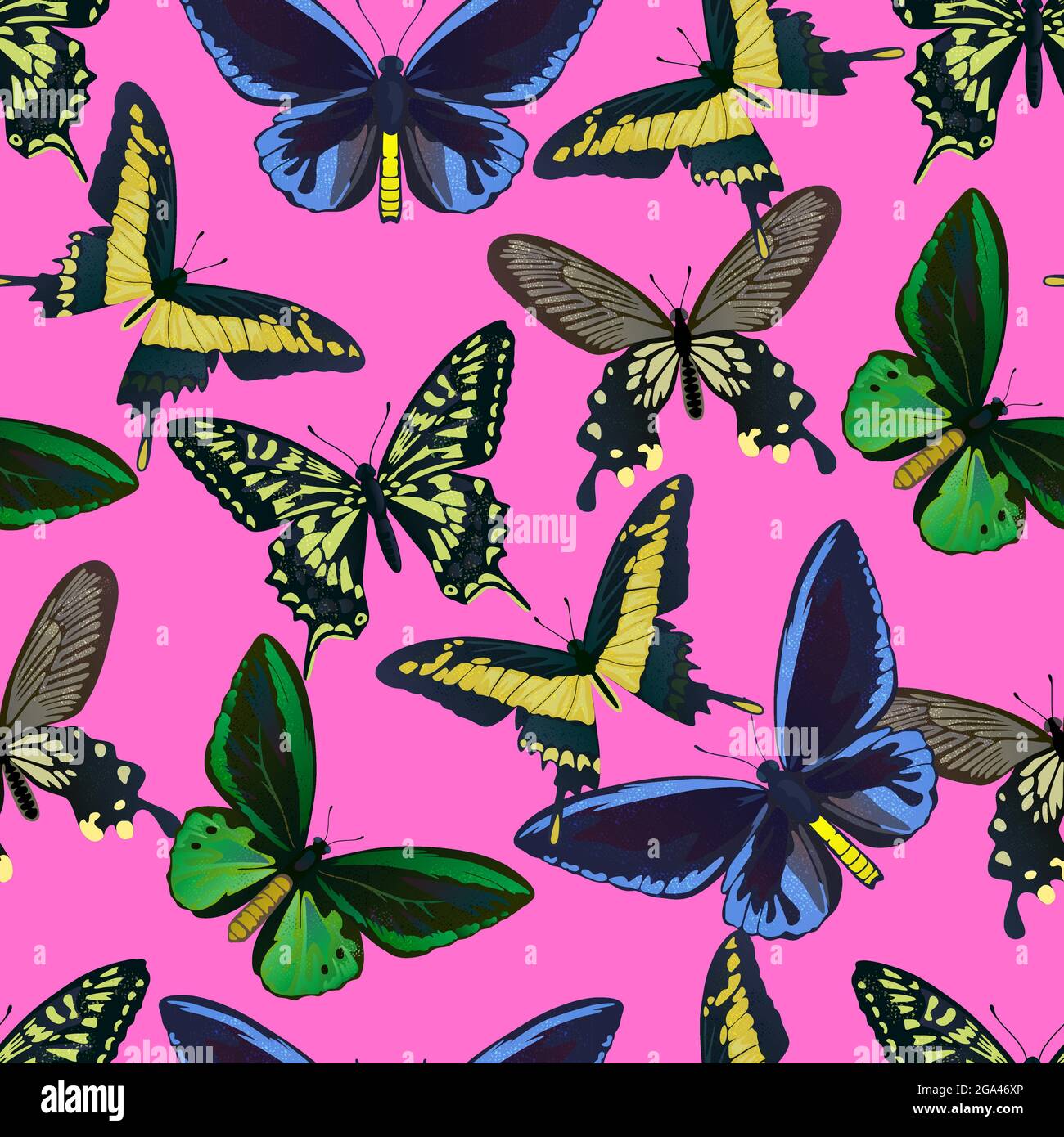 Motif sans couture avec de grands papillons tropicaux colorés, de la queue d'oiseau et de la queue d'oiseau, de la papilio et de l'ornitoptera papilionidae. Illustration de Vecteur