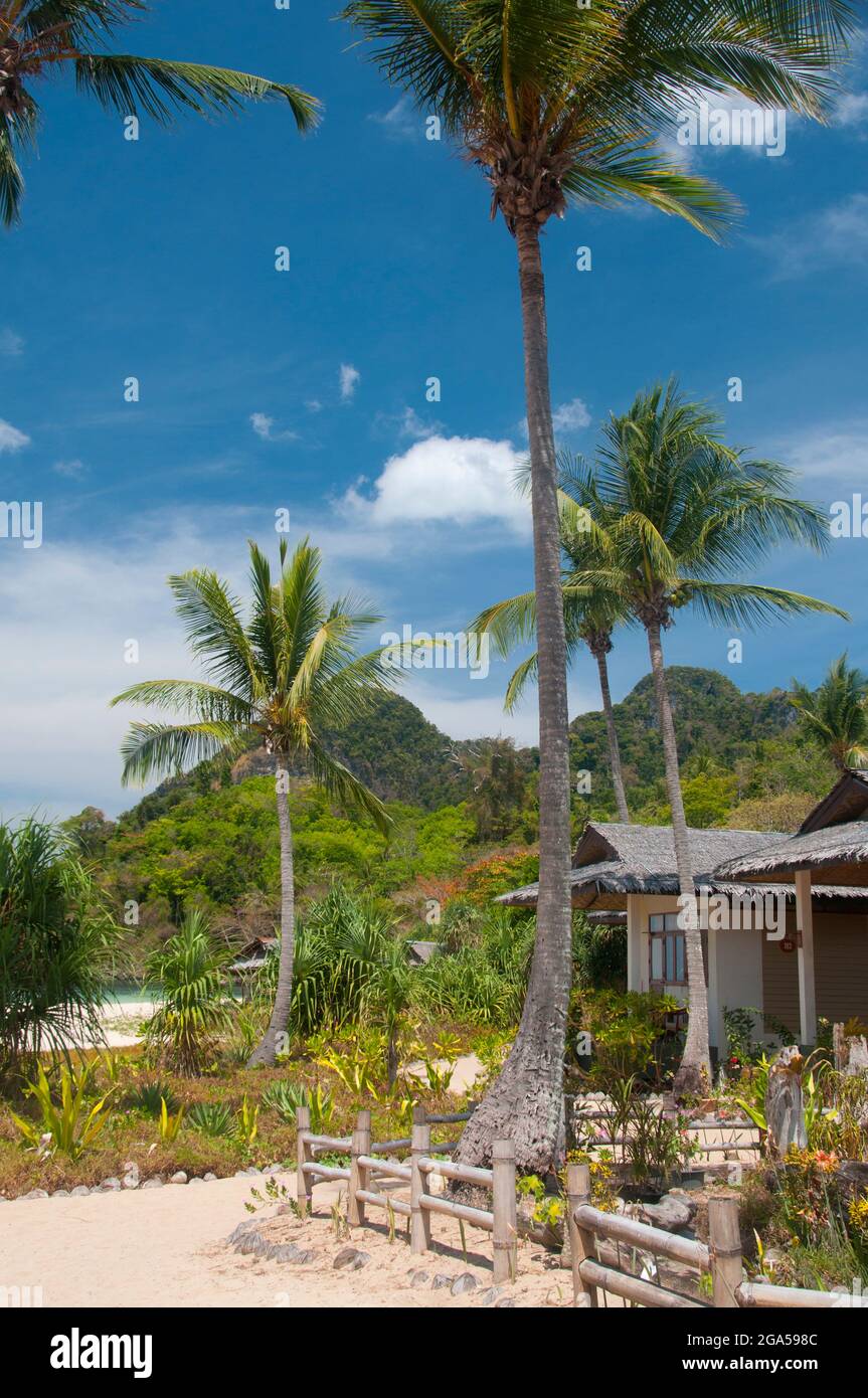 Thaïlande: Hat Farang (plage de Farang), Ko Muk, province de Trang. Ko Muk ou «Pearl Island» se trouve à 13 km (8 miles) au sud de la jetée de Trang’s Pak Meng. Jusqu'à récemment, une destination reculée avec une petite population résidente de Chao Lae ‘sea Gypsies’, Ko Muk se développe rapidement en une destination plus haut de gamme. Banque D'Images