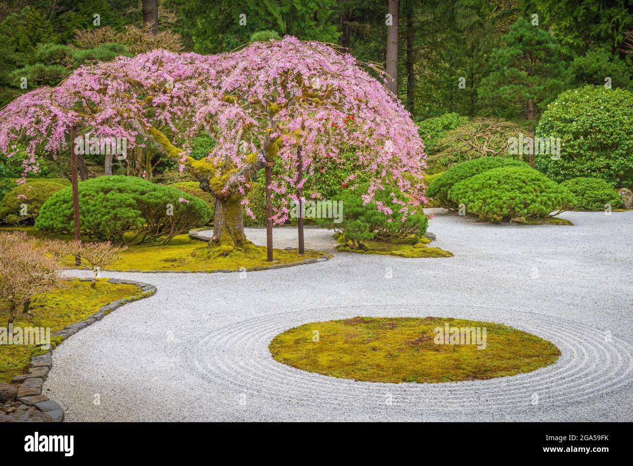 Le jardin japonais de Portland est un jardin traditionnel japonais occupant 12 hectares, situé à l'intérieur de Washington Park des collines à l'ouest de Portland, Oregon Banque D'Images