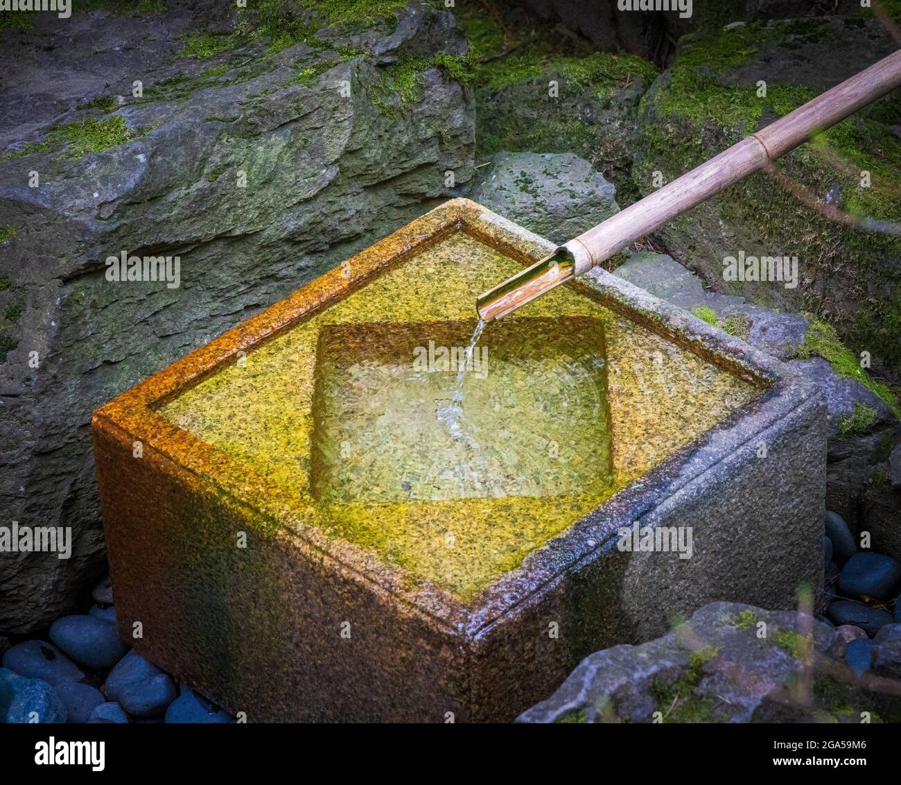 Le jardin japonais de Portland est un jardin traditionnel japonais occupant 12 hectares, situé à l'intérieur de Washington Park des collines à l'ouest de Portland, Oregon Banque D'Images