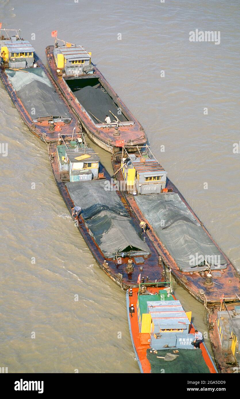 Chine : marchandises transportées sur le Huangpu Jiang (fleuve Huangpu) depuis le fleuve Yangzi (Yangtze), Shanghai. Shanghai a commencé la vie comme un village de pêcheurs, et plus tard comme un port recevant des marchandises transportées le long du fleuve Yangzi. À partir de 1842, à la suite de la première guerre de l'opium, les Britanniques ont ouvert une « concession » à Shanghai où les commerçants pouvaient opérer sans être dérangés. Les Français, les Italiens, les Allemands, les Américains et les Japonais ont tous suivi. Dans les années 1920 et 1930, Shanghai était une ville en plein essor. Lorsque les communistes ont gagné le pouvoir en 1949, ils ont transformé Shanghai en un modèle de la Révolution. Banque D'Images