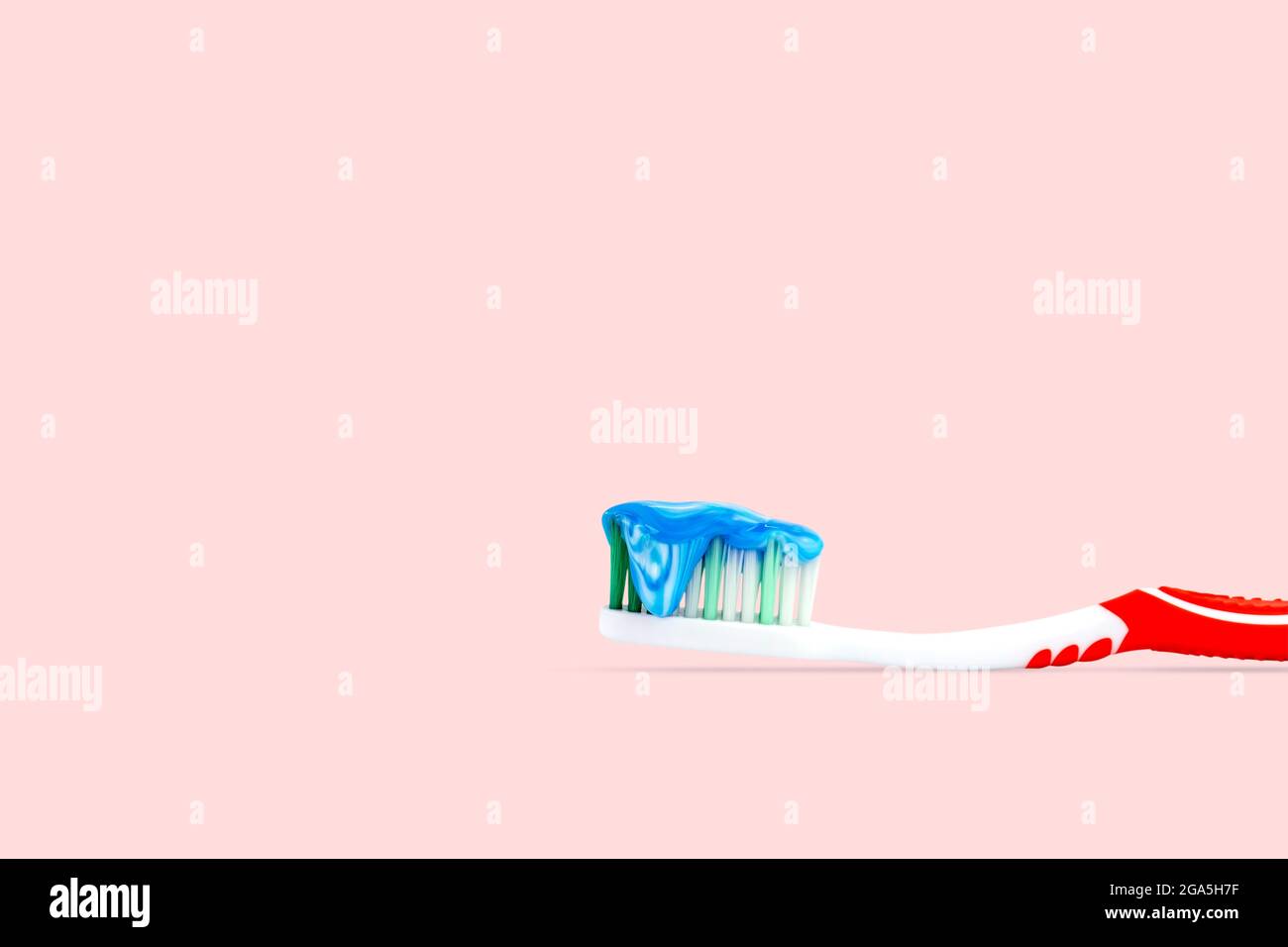 Gros plan sur un dentifrice bleu et blanc sur une brosse à dents isolée sur fond rose. Banque D'Images Gros plan sur un dentifrice bleu et blanc sur une brosse à dents isolée sur fond rose. Banque D'Images
