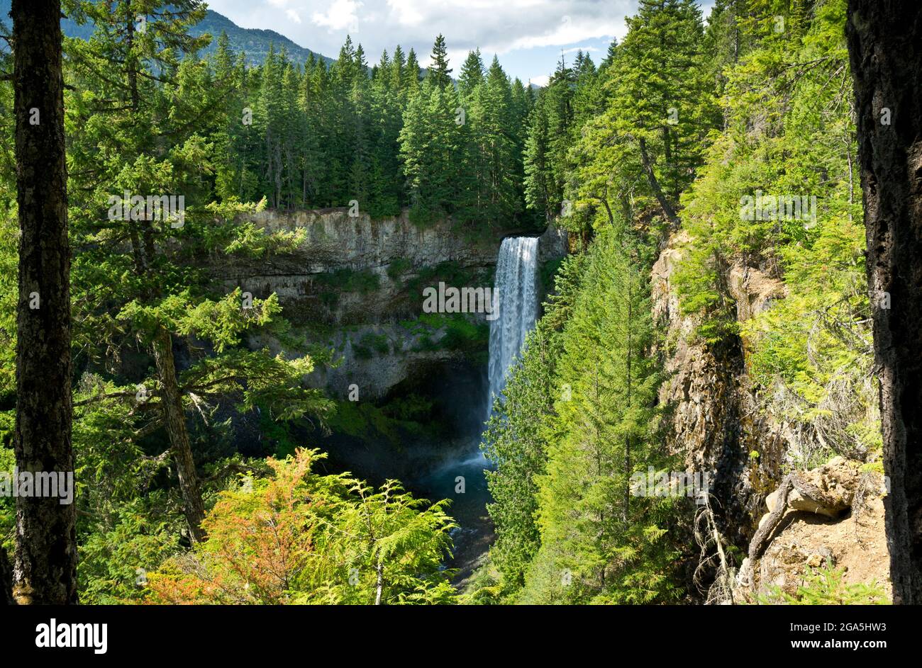 Chutes Brandywine près de Whistler, BC, Canada. Banque D'Images