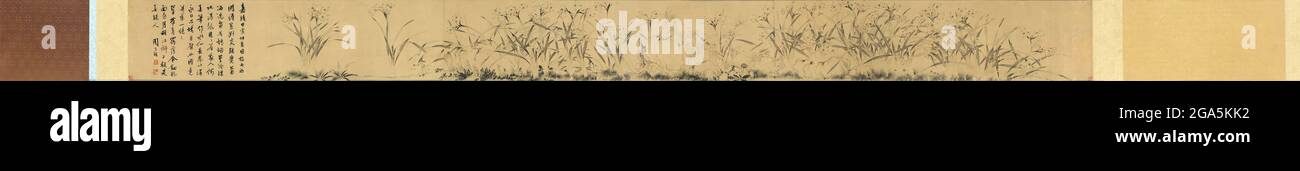 Chine: «Narcissus». Tableau Handscroll de Zhou Tianqiu (1514-1595), XVIe siècle. Zhou Tianqiu (1514-1595) était un peintre chinois originaire de la dynastie Ming. On sait peu de choses sur lui, et seulement quelques-unes de ses peintures ont survécu jusqu'à l'époque moderne. Il était aussi calligraphe et poète. Banque D'Images Chine: «Narcissus». Tableau Handscroll de Zhou Tianqiu (1514-1595), XVIe siècle. Zhou Tianqiu (1514-1595) était un peintre chinois originaire de la dynastie Ming. On sait peu de choses sur lui, et seulement quelques-unes de ses peintures ont survécu jusqu'à l'époque moderne. Il était aussi calligraphe et poète. Banque D'Images