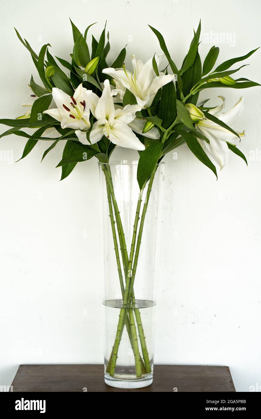 Photo verticale d'un bouquet de lys dans un grand vase en verre à  l'intérieur Photo Stock - Alamy