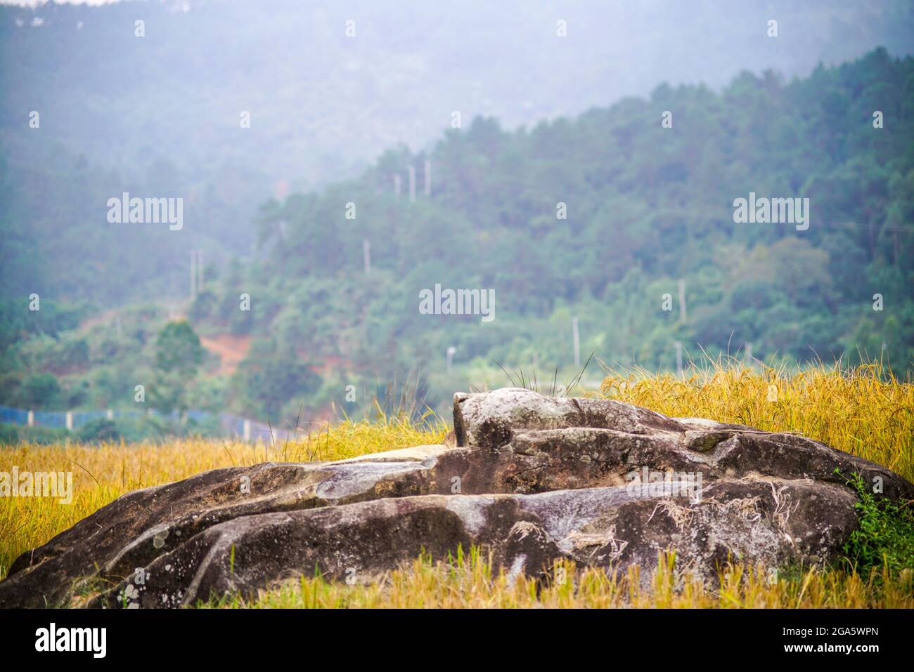 Belle vue sur la montagne dans le district de Binh Lieu province de Quang Ninh nord du Vietnam Banque D'Images