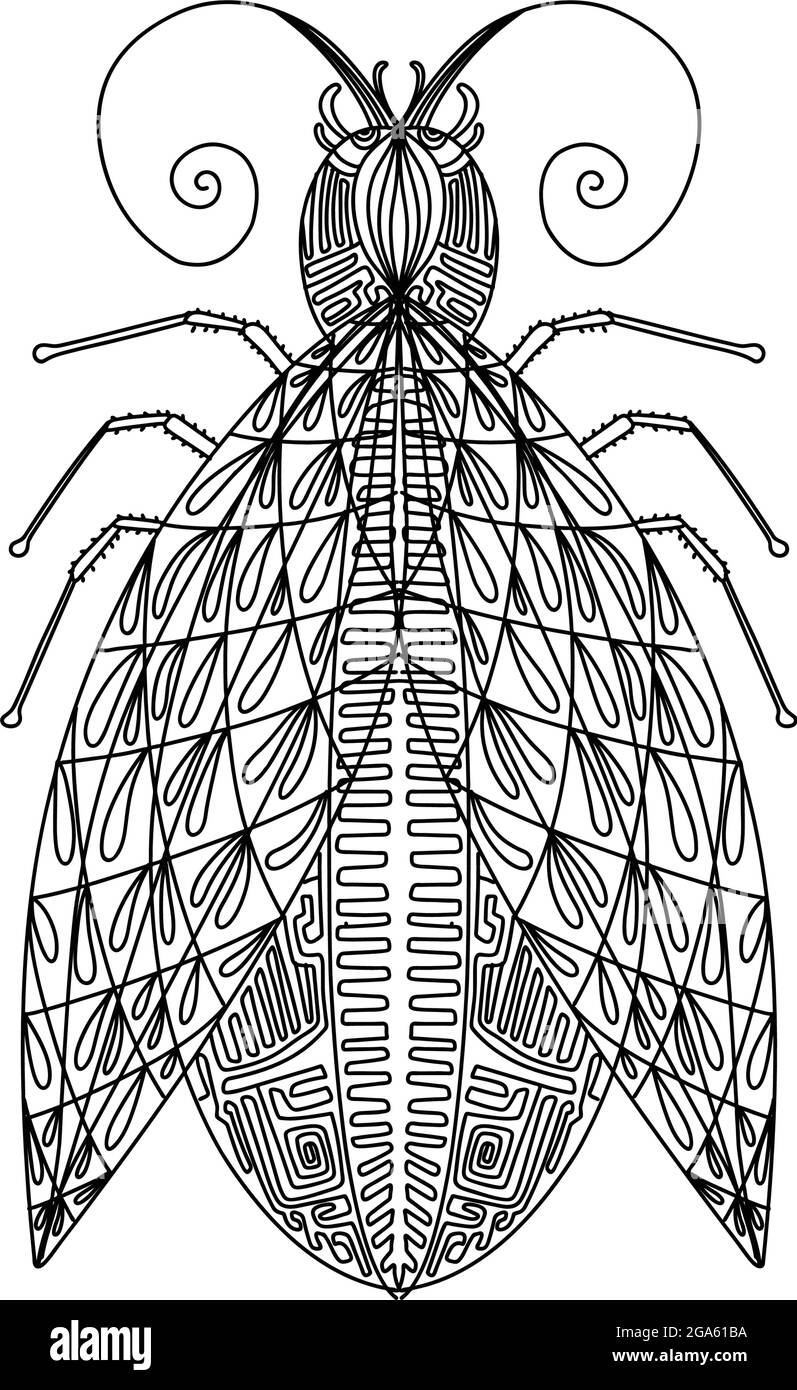 Superbe maquette pour un motif imprimé. Arrière-plan isolé. Illustration de vecteur d'insectes mignons. Mise en plan de couleur de contour isolée vectorielle. Personnage d'insecte. Illustration de Vecteur