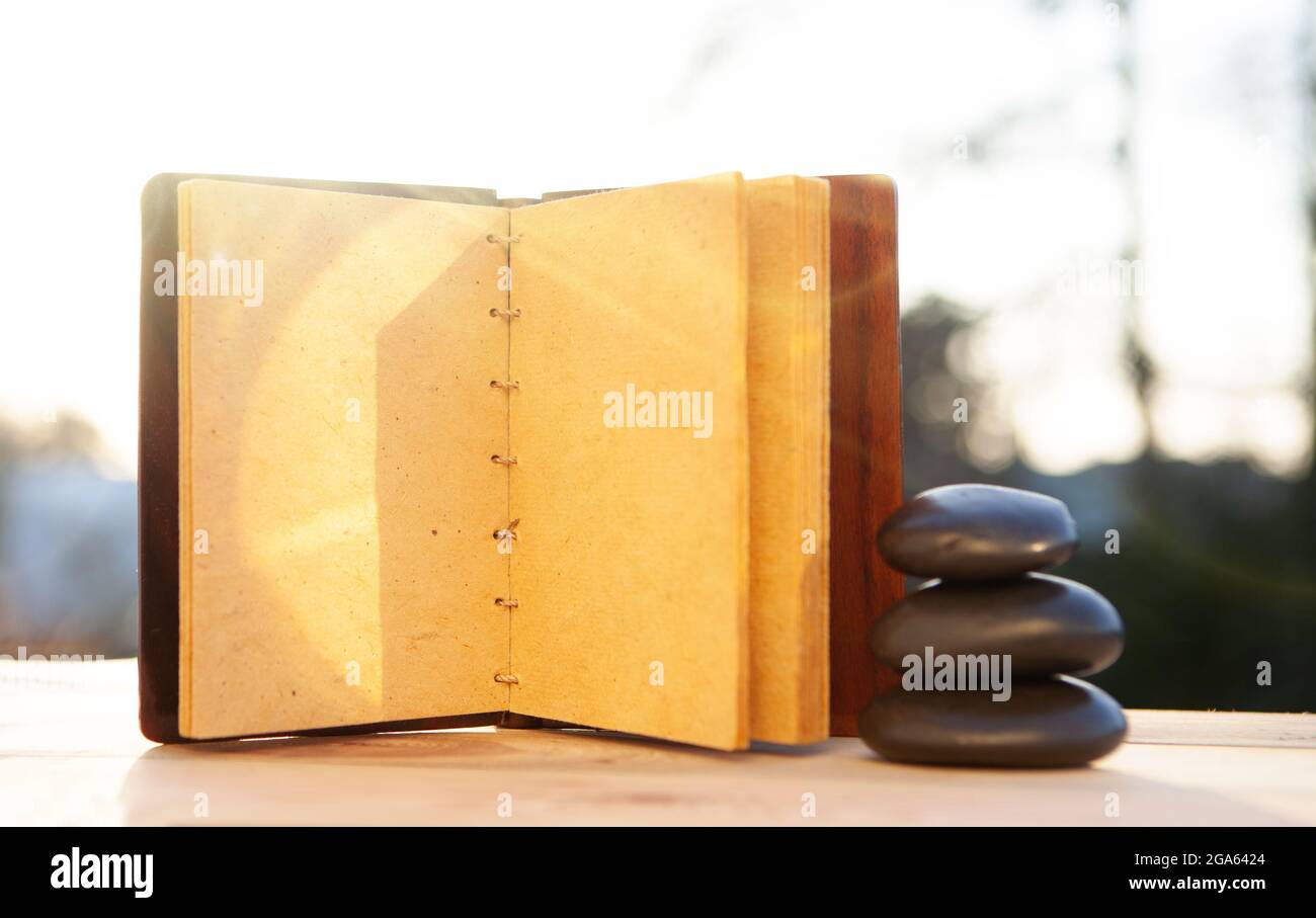 Livre de recettes vierge pour la préparation de plantes médicinales naturelles. Copier l'espace Banque D'Images