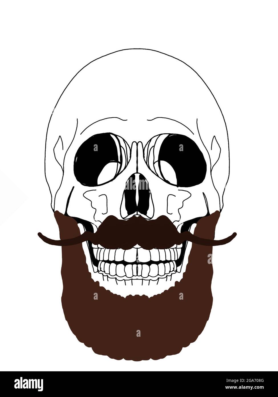 Crâne , illustration de dessin Banque D'Images