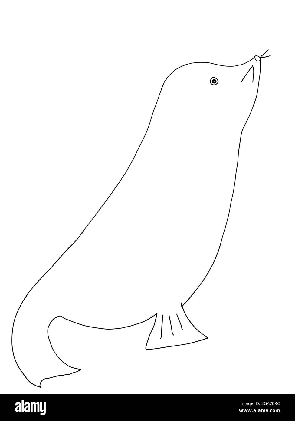 jolie illustration d'animal de phoque moine de dessin animé Banque D'Images