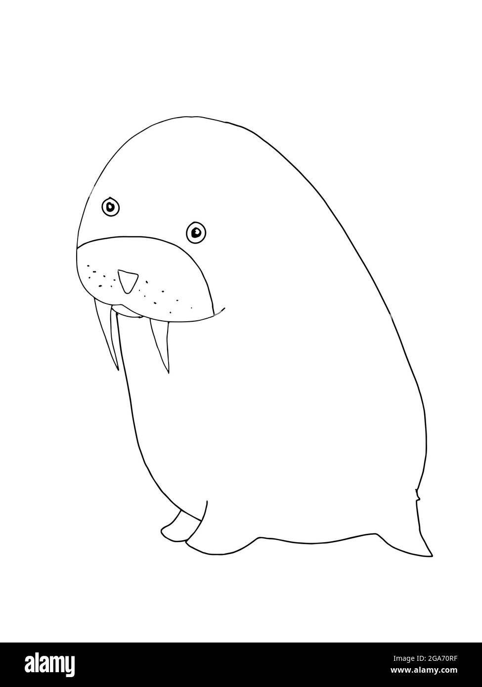 mignon, dessin animé, sceau de lion, illustration d'animal Banque D'Images