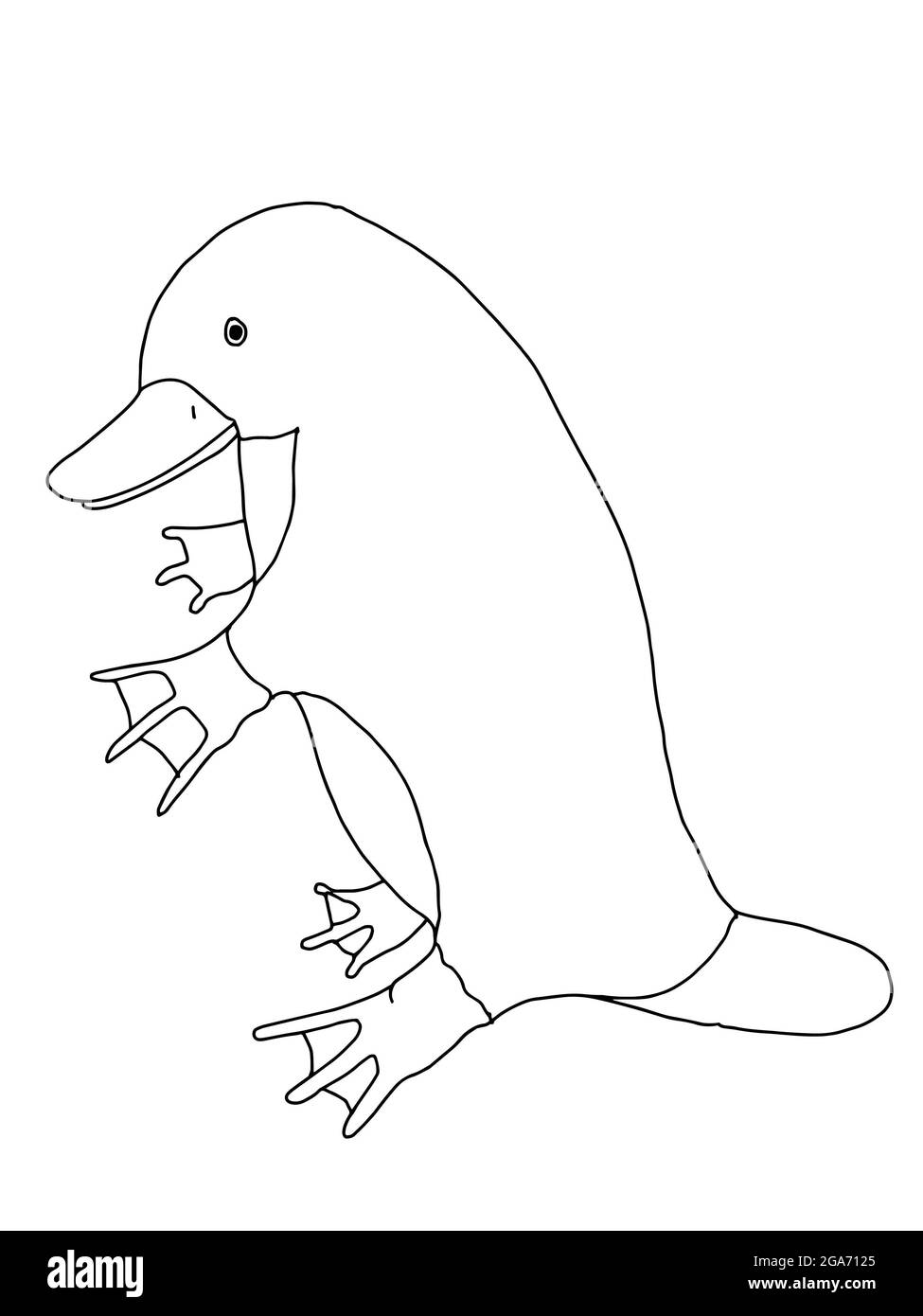 ornithorynque ornithorhynchus, illustration animale Banque D'Images