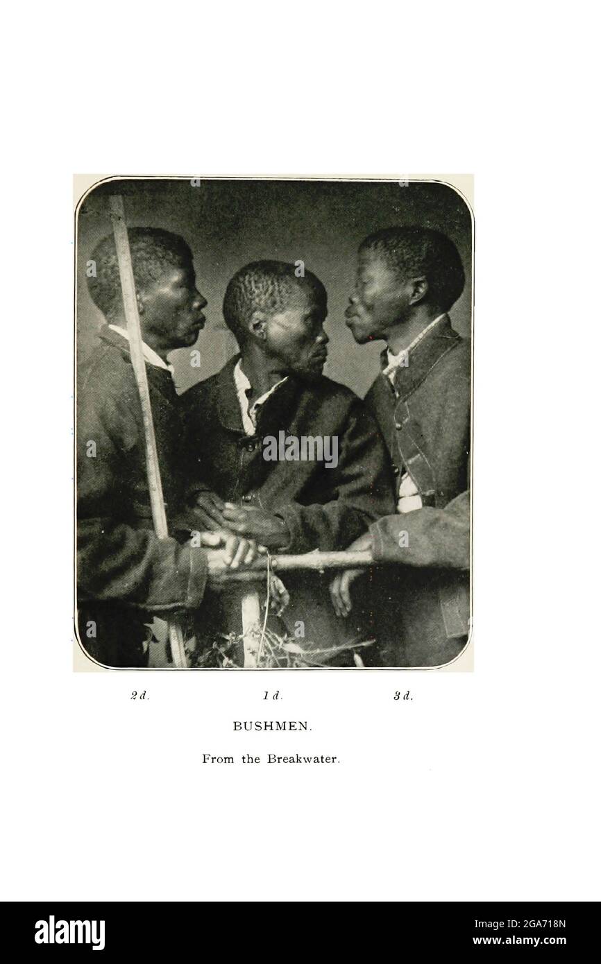 Trois Bushmen du Breakwater du livre ' Spectats of Bushman folklore ' de Bleek, W. H. I. (Wilhelm Heinrich Emmanuel), Lloyd, Lucy Catherine, Theal, George McCall, 1837-1919 publié à Londres par G. Allen & Company, ltd. En 1911. Les San peuples (également Saan), ou Bushmen, sont membres de divers groupes indigènes de chasseurs-cueilleurs de Khoe, de Tuu ou de langue Kxʼa qui sont les premières nations de l'Afrique australe, et dont les territoires couvrent le Botswana, la Namibie, l'Angola, la Zambie, le Zimbabwe, Lesotho et Afrique du Sud. Banque D'Images