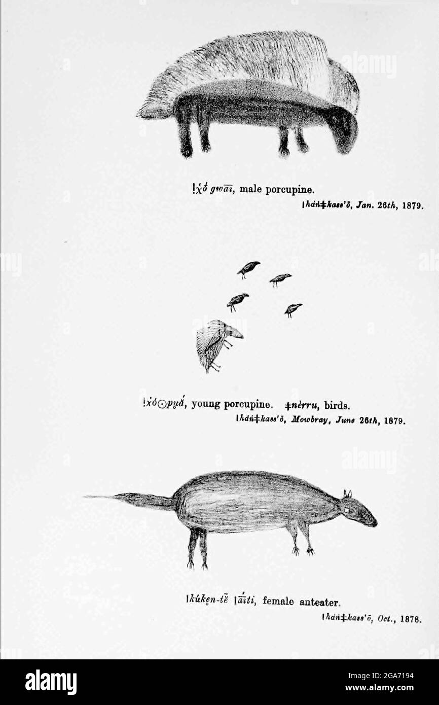 Bushmen (san) peinture rock des animaux. Peint sur les murs des grottes du livre ' spécimens de folklore Bushman ' de Bleek, W. H. I. (Wilhelm Heinrich Emmanuel), Lloyd, Lucy Catherine, Theal, George McCall, 1837-1919 publié à Londres par G. Allen & Company, ltd. En 1911. Les San peuples (également Saan), ou Bushmen, sont membres de divers groupes indigènes de chasseurs-cueilleurs de Khoe, de Tuu ou de langue Kxʼa qui sont les premières nations de l'Afrique australe, et dont les territoires couvrent le Botswana, la Namibie, l'Angola, la Zambie, le Zimbabwe, Lesotho et Afrique du Sud. Banque D'Images