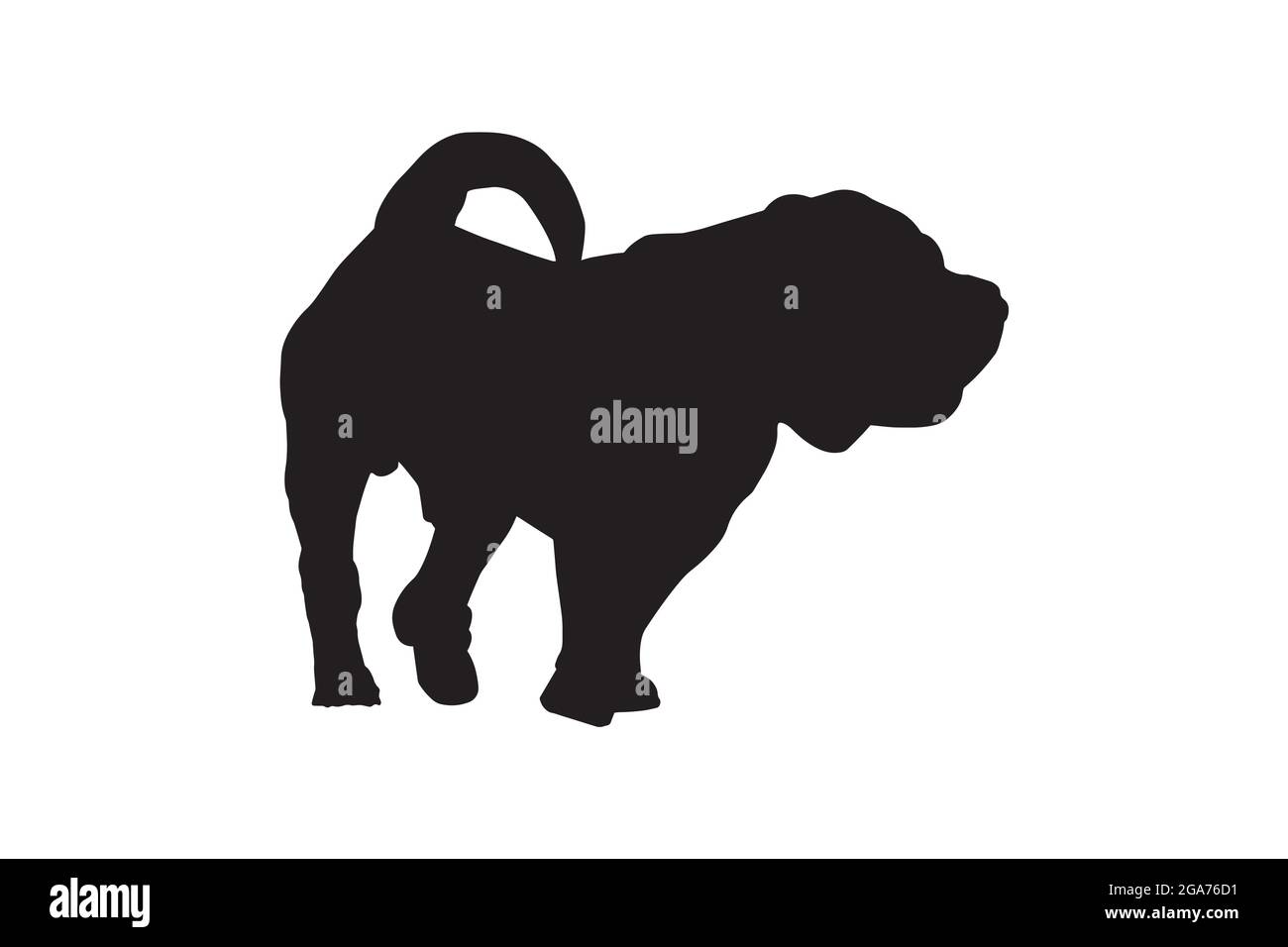 Chien silhouette noir avec queue sur blanc. Homme adulte moderne viande-bouche Shar PEI. Illustration vectorielle Illustration de Vecteur