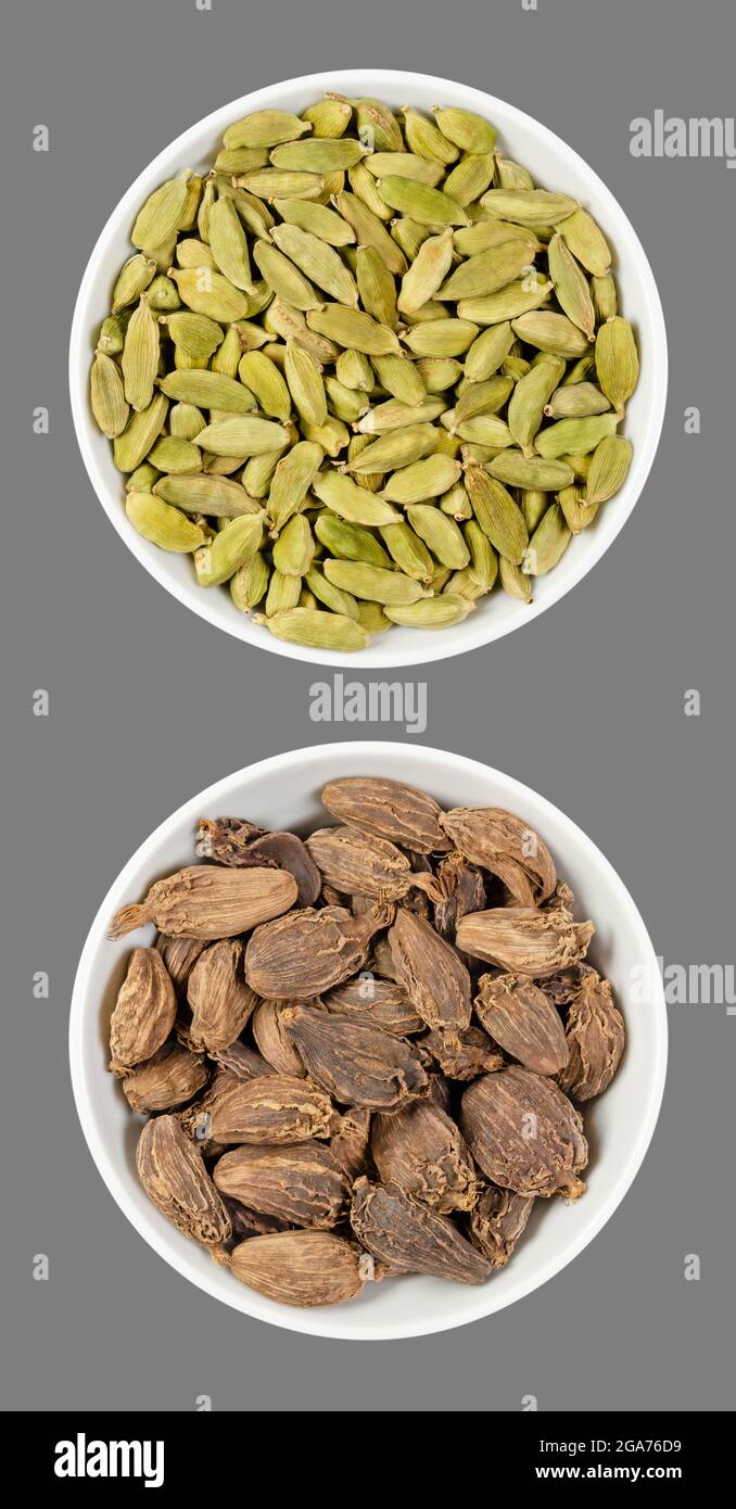 Gousses de cardamome vertes et noires, dans des bols blancs, sur fond gris. Fruits et graines transformés d'Elettaria cardamomum et d'Amomum sususulatum. Banque D'Images