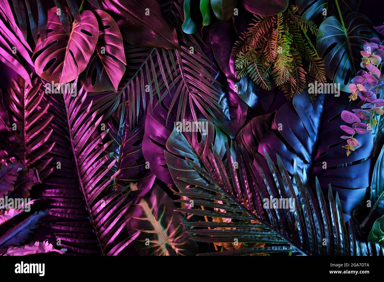 Jungle tropicale de tendance sombre avec éclairage au néon pour l'arrière-plan. Palmiers et plantes exotiques de style rétro et lumière fluorescente. Bot contemporain Banque D'Images