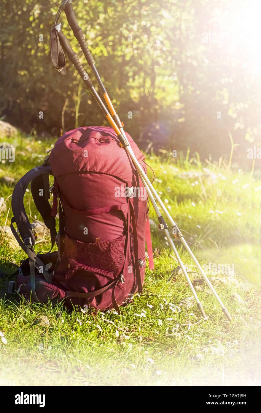 Un sac à dos de randonnée violet avec équipement de camping et bâtons de randonnée Banque D'Images